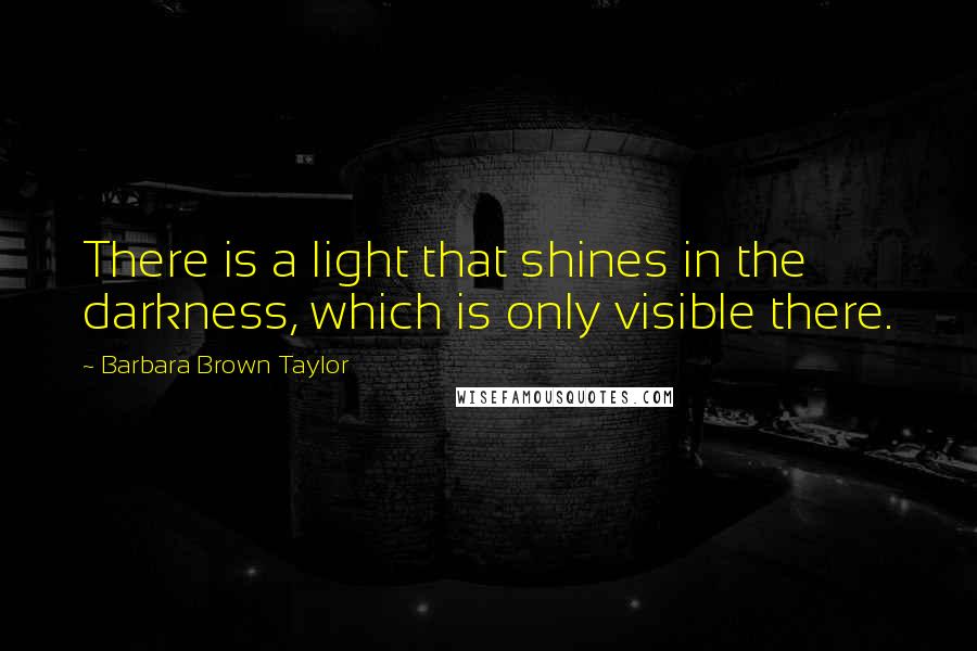 Barbara Brown Taylor Quotes: There is a light that shines in the darkness, which is only visible there.