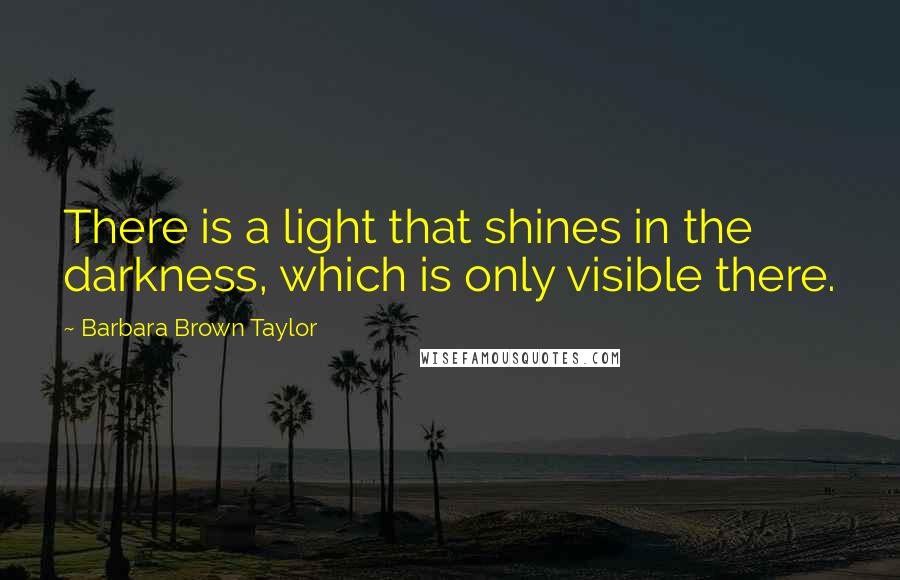 Barbara Brown Taylor Quotes: There is a light that shines in the darkness, which is only visible there.