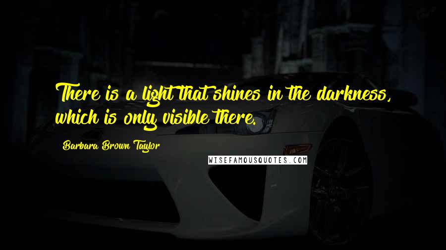 Barbara Brown Taylor Quotes: There is a light that shines in the darkness, which is only visible there.