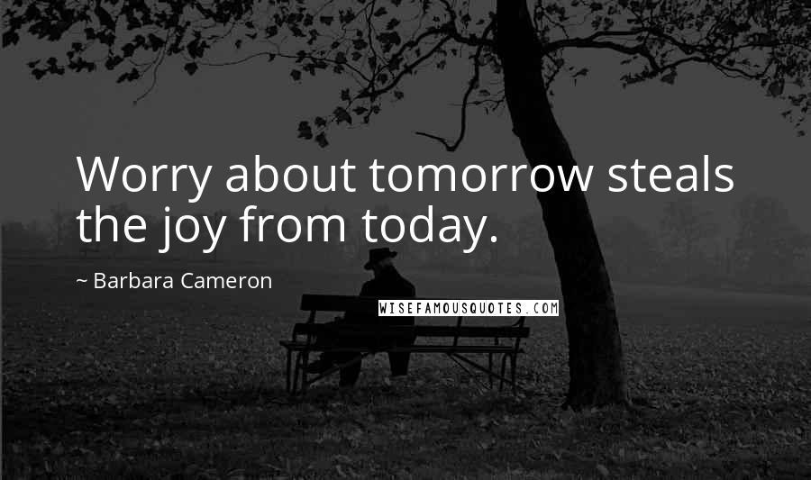 Barbara Cameron Quotes: Worry about tomorrow steals the joy from today.