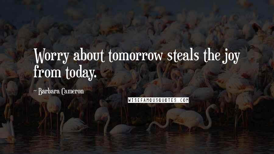 Barbara Cameron Quotes: Worry about tomorrow steals the joy from today.