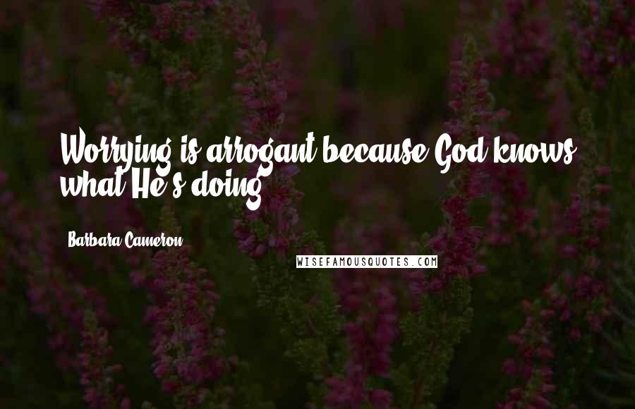 Barbara Cameron Quotes: Worrying is arrogant because God knows what He's doing.