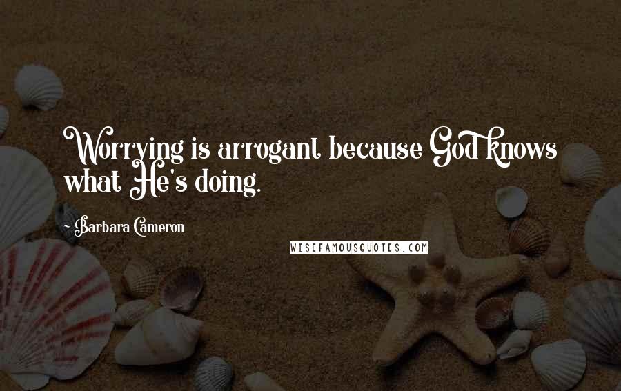 Barbara Cameron Quotes: Worrying is arrogant because God knows what He's doing.