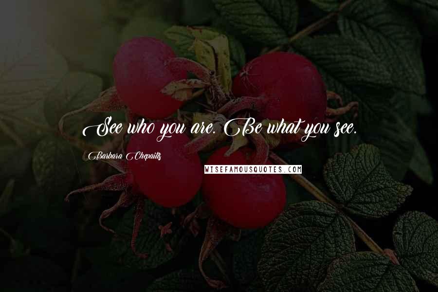 Barbara Chepaitis Quotes: See who you are. Be what you see.