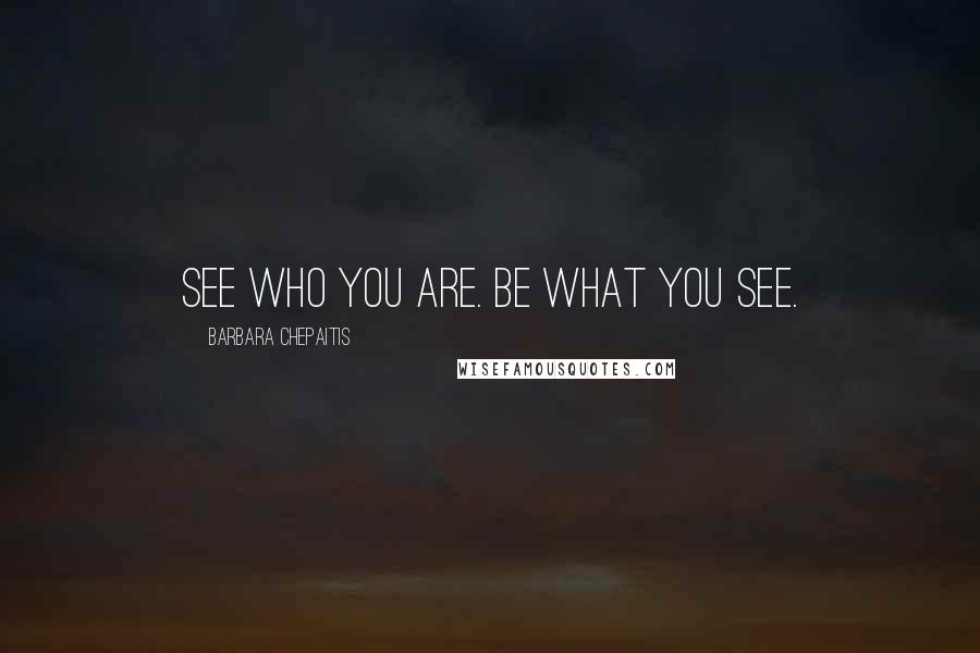 Barbara Chepaitis Quotes: See who you are. Be what you see.