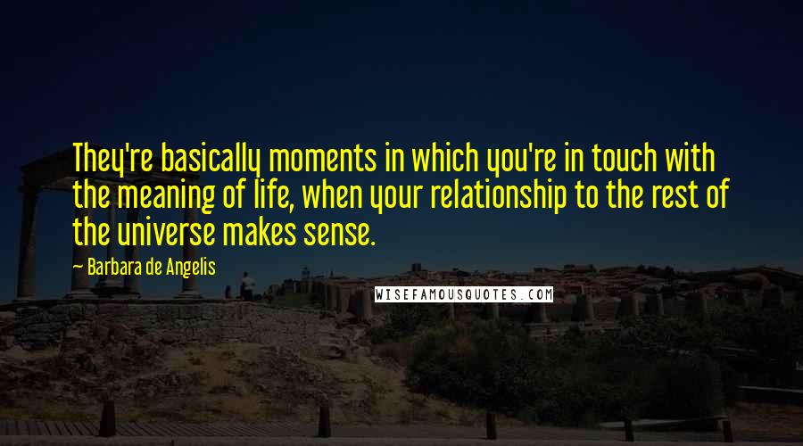 Barbara De Angelis Quotes: They're basically moments in which you're in touch with the meaning of life, when your relationship to the rest of the universe makes sense.