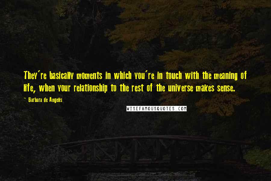 Barbara De Angelis Quotes: They're basically moments in which you're in touch with the meaning of life, when your relationship to the rest of the universe makes sense.