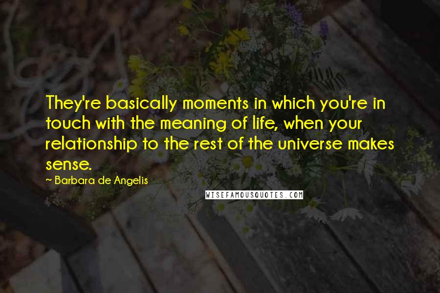 Barbara De Angelis Quotes: They're basically moments in which you're in touch with the meaning of life, when your relationship to the rest of the universe makes sense.