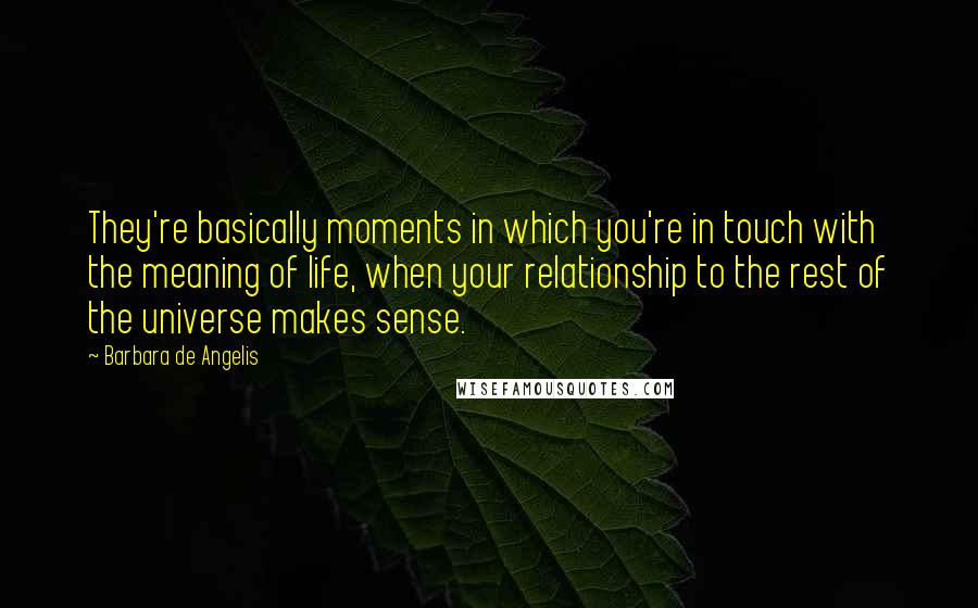 Barbara De Angelis Quotes: They're basically moments in which you're in touch with the meaning of life, when your relationship to the rest of the universe makes sense.