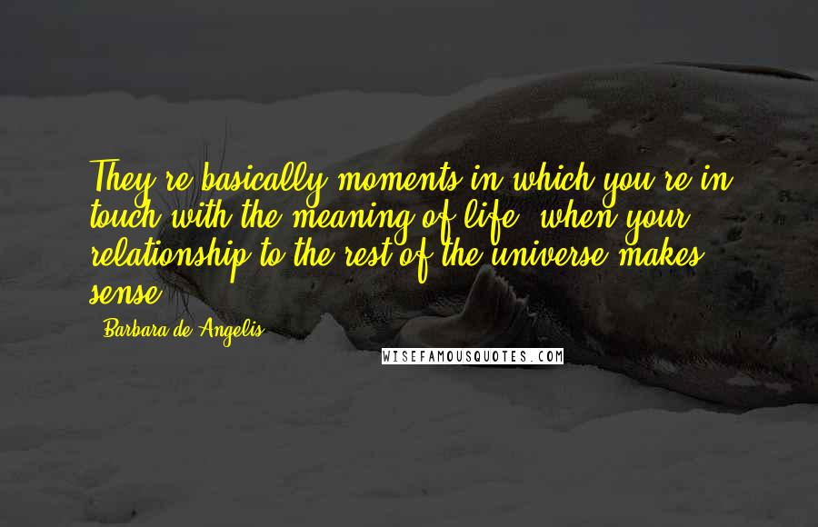 Barbara De Angelis Quotes: They're basically moments in which you're in touch with the meaning of life, when your relationship to the rest of the universe makes sense.