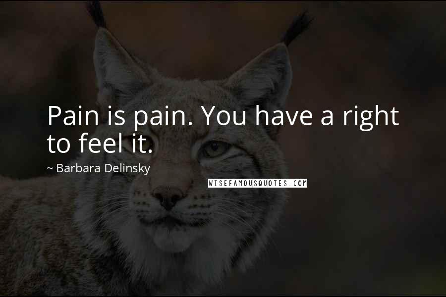 Barbara Delinsky Quotes: Pain is pain. You have a right to feel it.