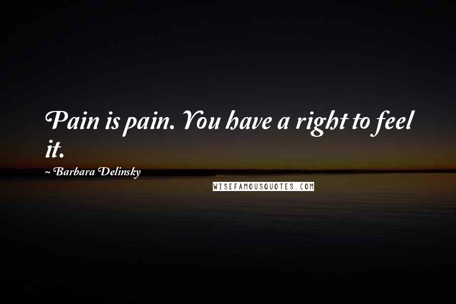 Barbara Delinsky Quotes: Pain is pain. You have a right to feel it.