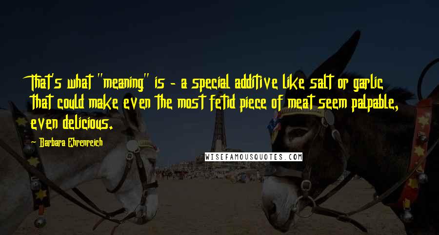 Barbara Ehrenreich Quotes: That's what "meaning" is - a special additive like salt or garlic that could make even the most fetid piece of meat seem palpable, even delicious.