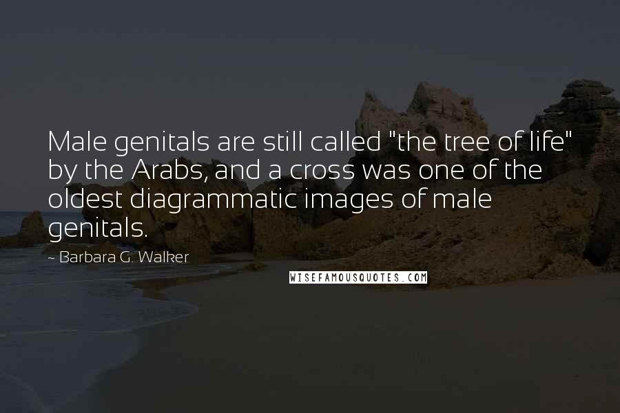 Barbara G. Walker Quotes: Male genitals are still called "the tree of life" by the Arabs, and a cross was one of the oldest diagrammatic images of male genitals.