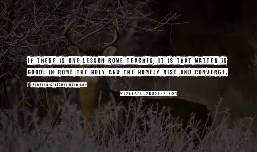 Barbara Grizzuti Harrison Quotes: If there is one lesson Rome teaches, it is that matter is good; in Rome the holy and the homely rise and converge.