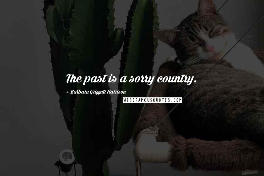 Barbara Grizzuti Harrison Quotes: The past is a sorry country.