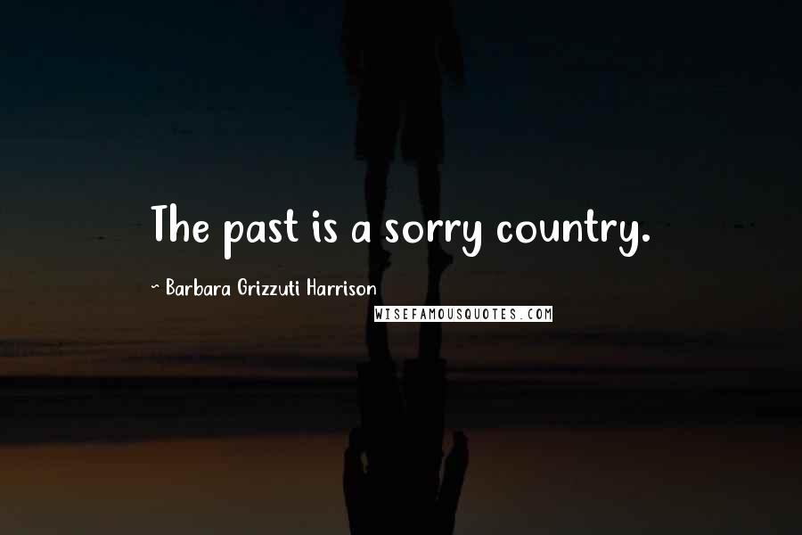 Barbara Grizzuti Harrison Quotes: The past is a sorry country.