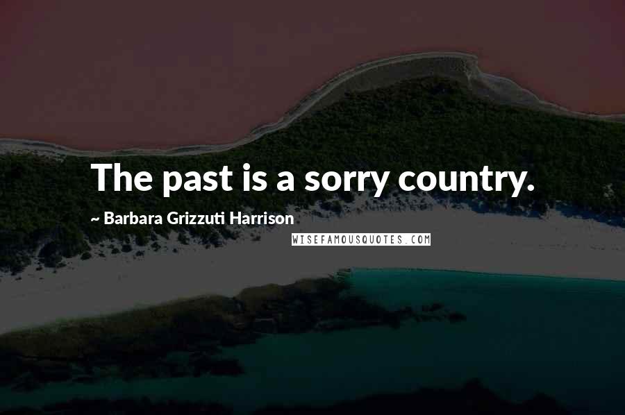 Barbara Grizzuti Harrison Quotes: The past is a sorry country.