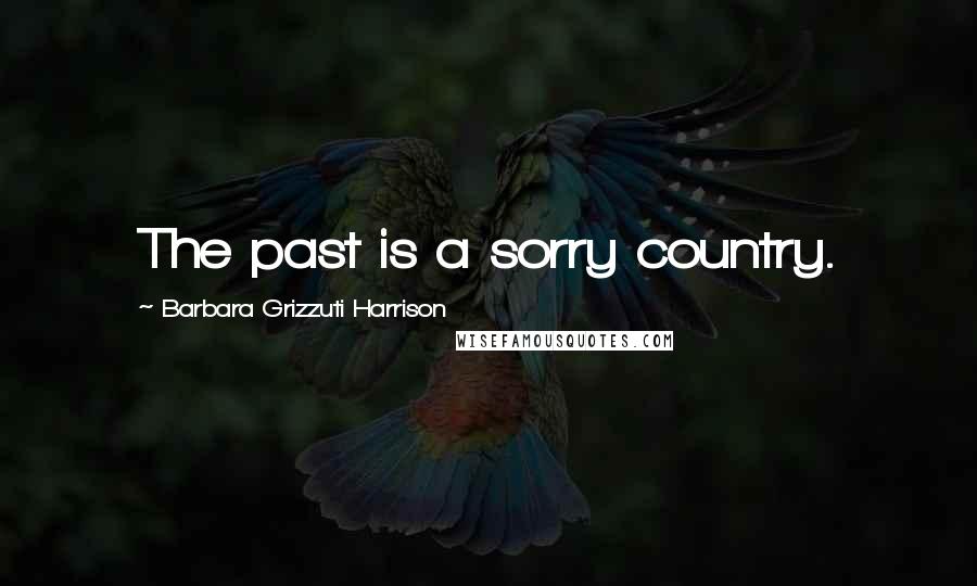 Barbara Grizzuti Harrison Quotes: The past is a sorry country.