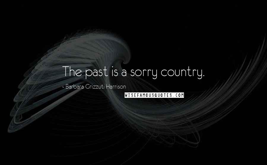 Barbara Grizzuti Harrison Quotes: The past is a sorry country.