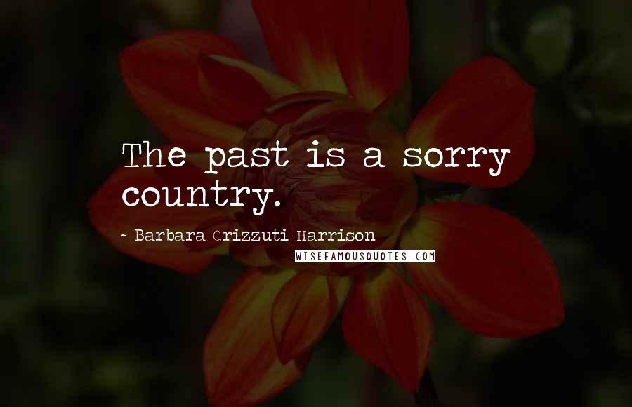 Barbara Grizzuti Harrison Quotes: The past is a sorry country.
