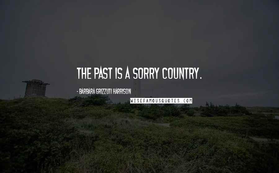 Barbara Grizzuti Harrison Quotes: The past is a sorry country.