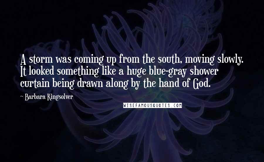 Barbara Kingsolver Quotes: A storm was coming up from the south, moving slowly. It looked something like a huge blue-gray shower curtain being drawn along by the hand of God.