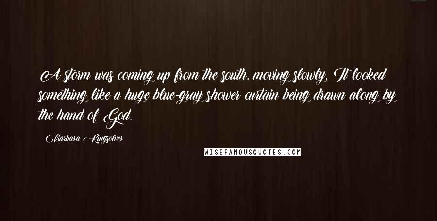 Barbara Kingsolver Quotes: A storm was coming up from the south, moving slowly. It looked something like a huge blue-gray shower curtain being drawn along by the hand of God.