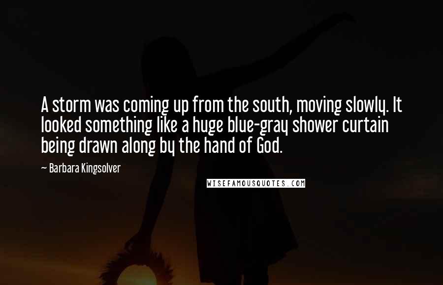 Barbara Kingsolver Quotes: A storm was coming up from the south, moving slowly. It looked something like a huge blue-gray shower curtain being drawn along by the hand of God.