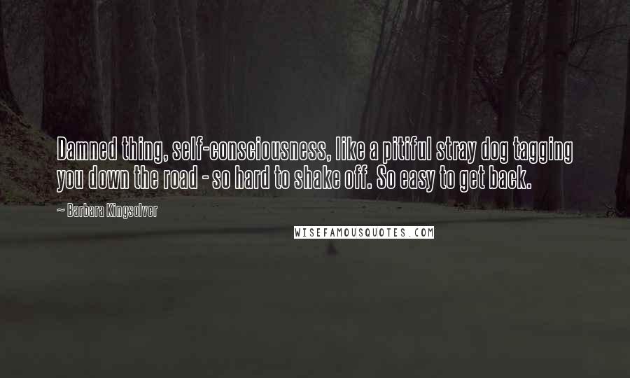 Barbara Kingsolver Quotes: Damned thing, self-consciousness, like a pitiful stray dog tagging you down the road - so hard to shake off. So easy to get back.