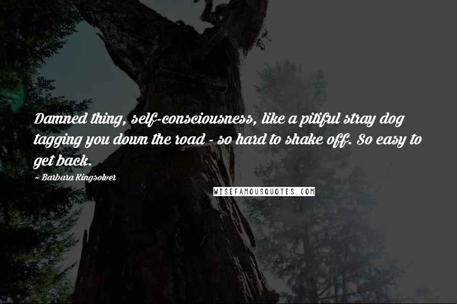 Barbara Kingsolver Quotes: Damned thing, self-consciousness, like a pitiful stray dog tagging you down the road - so hard to shake off. So easy to get back.