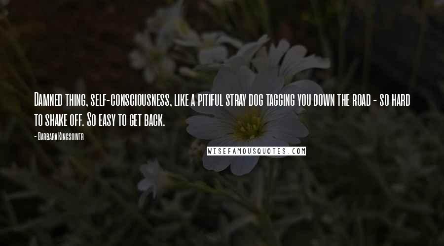 Barbara Kingsolver Quotes: Damned thing, self-consciousness, like a pitiful stray dog tagging you down the road - so hard to shake off. So easy to get back.