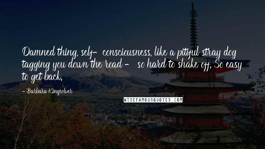 Barbara Kingsolver Quotes: Damned thing, self-consciousness, like a pitiful stray dog tagging you down the road - so hard to shake off. So easy to get back.