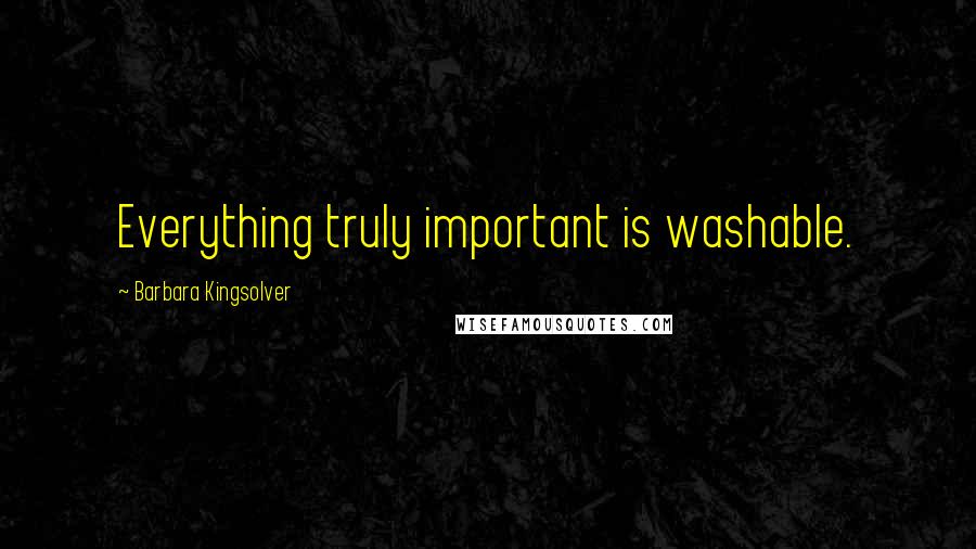 Barbara Kingsolver Quotes: Everything truly important is washable.