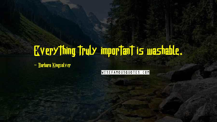 Barbara Kingsolver Quotes: Everything truly important is washable.