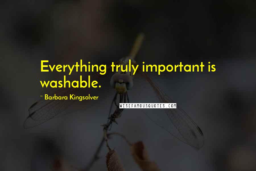 Barbara Kingsolver Quotes: Everything truly important is washable.
