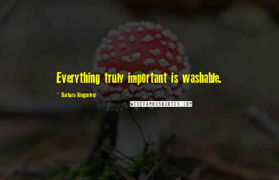 Barbara Kingsolver Quotes: Everything truly important is washable.