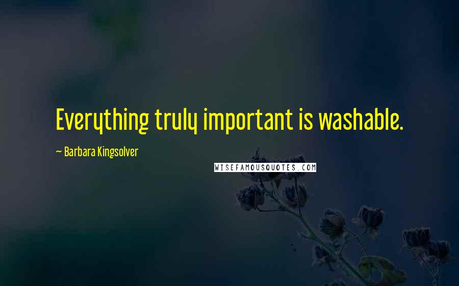 Barbara Kingsolver Quotes: Everything truly important is washable.