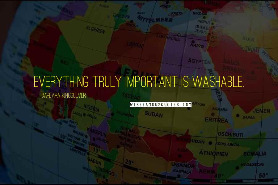 Barbara Kingsolver Quotes: Everything truly important is washable.