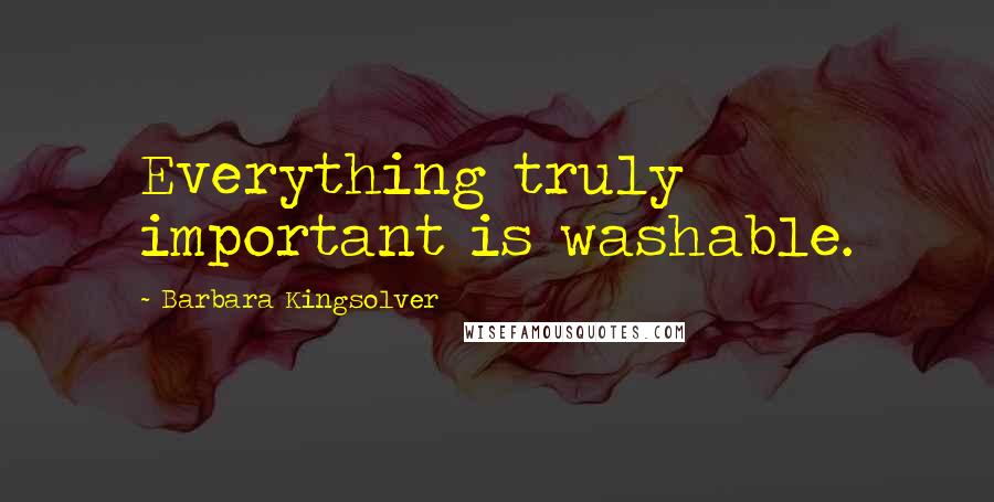 Barbara Kingsolver Quotes: Everything truly important is washable.