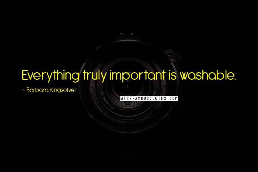 Barbara Kingsolver Quotes: Everything truly important is washable.