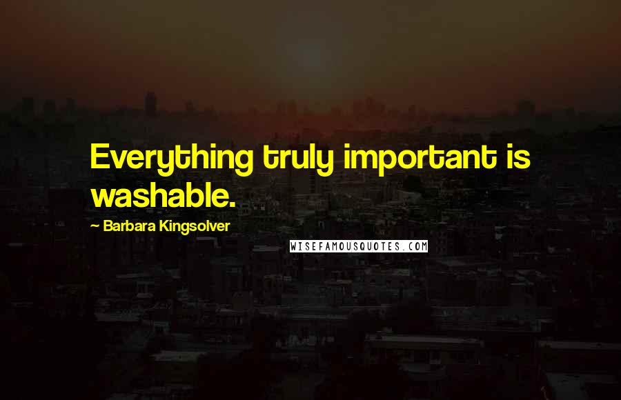 Barbara Kingsolver Quotes: Everything truly important is washable.