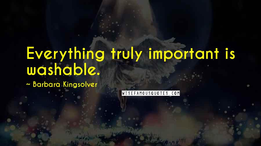 Barbara Kingsolver Quotes: Everything truly important is washable.