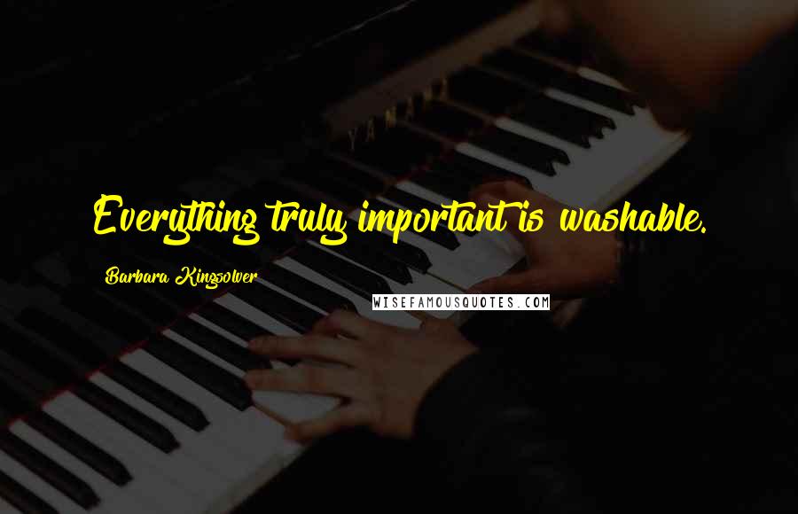 Barbara Kingsolver Quotes: Everything truly important is washable.