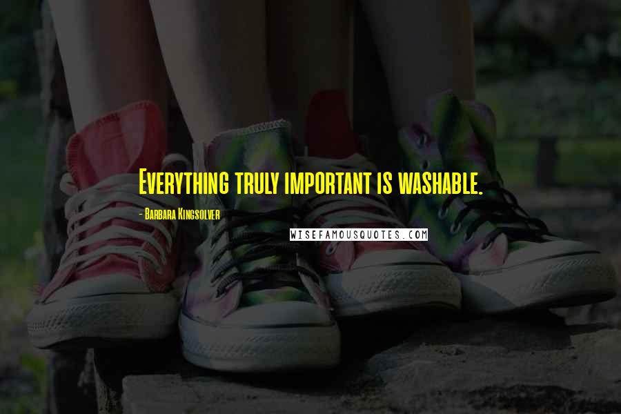 Barbara Kingsolver Quotes: Everything truly important is washable.