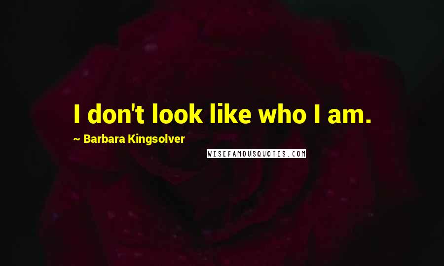 Barbara Kingsolver Quotes: I don't look like who I am.