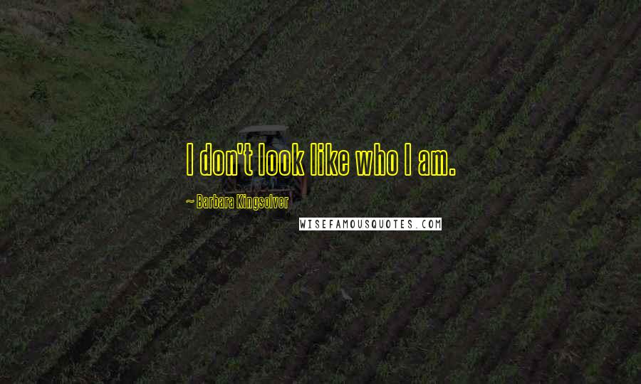 Barbara Kingsolver Quotes: I don't look like who I am.