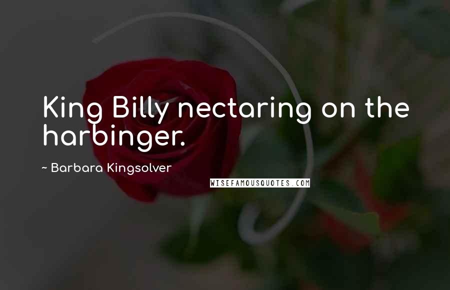 Barbara Kingsolver Quotes: King Billy nectaring on the harbinger.