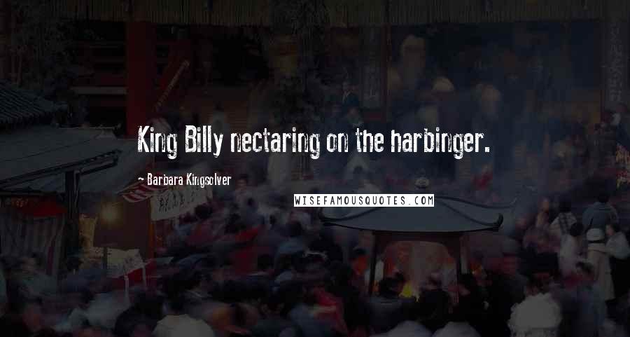 Barbara Kingsolver Quotes: King Billy nectaring on the harbinger.