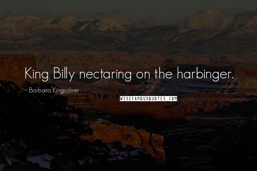 Barbara Kingsolver Quotes: King Billy nectaring on the harbinger.